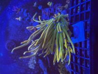 IMG_7722.jpeg