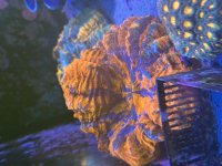 IMG_1994.jpeg