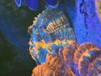IMG_1995.jpeg