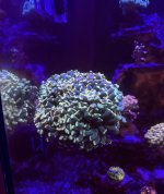 IMG_7301.jpeg