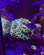 IMG_7302.jpeg