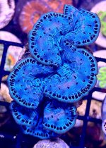 IMG_9212.jpeg