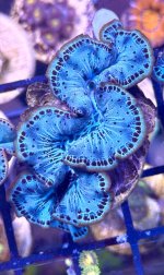 IMG_9194.jpeg