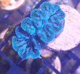 IMG_9166.jpeg