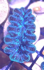 IMG_9164.jpeg