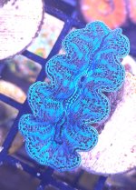 IMG_9161.jpeg
