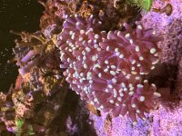 IMG_1057.jpeg
