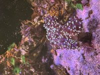 IMG_1051.jpeg