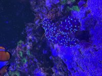IMG_1050.jpeg