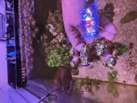 IMG_1039.jpeg