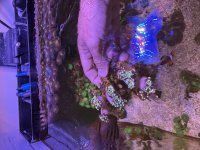 IMG_1038.jpeg
