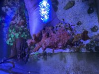 IMG_1041.jpeg