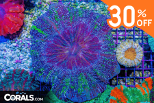 Untitled design(48).png