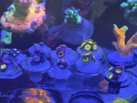 IMG_8978.jpeg