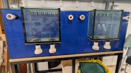 fishtank-b.jpg