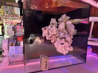 IMG_2110.jpeg