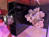 IMG_2107.jpeg