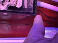 IMG_2109.jpeg