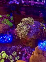 IMG_3564.jpeg