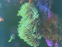 IMG_4108.jpeg