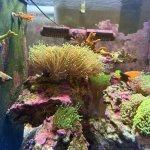 IMG_4118.jpeg