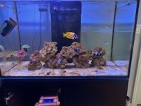 IMG_5763 (1).jpeg