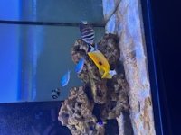 IMG_5761 (1).jpeg