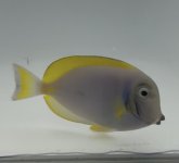 IMG_3678.jpeg