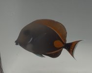 IMG_3648.jpeg