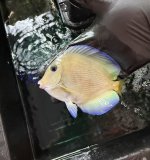 IMG_3578.jpeg