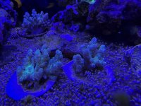 IMG_7708.jpeg