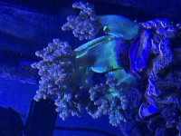 IMG_7549.jpeg