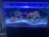 IMG_6065.jpeg