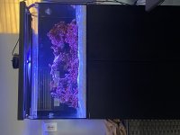 IMG_5084.jpeg
