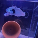 IMG_1035.jpeg