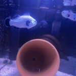 IMG_1034.jpeg