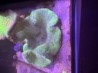 IMG_1459.jpeg