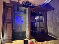 IMG_2428.jpeg