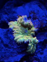 IMG_8291.jpeg