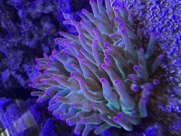 IMG_8286.jpeg