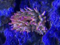 IMG_8284.jpeg