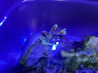 IMG_3890.jpeg