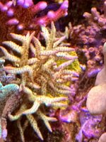 IMG_7410.jpeg