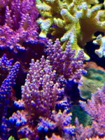IMG_7406.jpeg