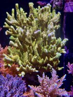 IMG_7405.jpeg