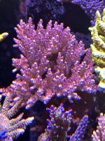 IMG_7404.jpeg