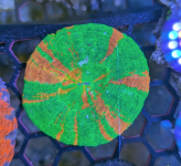 1783951421046.png