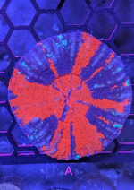 1783950968754.png