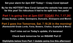 Screenshot 2026-07-17 at 10.22.48 AM.png