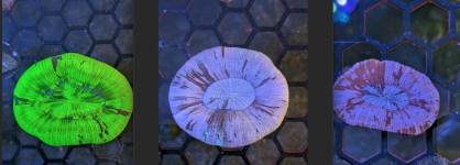 1784302138913.png
